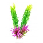 ΔΙΑΚΟΣΜΗΤΙΚΟ ΦΥΤΟ ΕΝΥΔΡΕΙΟΥ